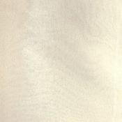 Ivory Crystal Organza image