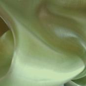Light Olive Liquid Organza image