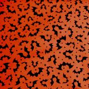 Halloween cotton – bats