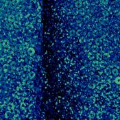 Stitched Holo Sequin – Royal image
