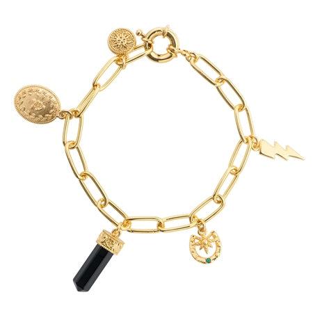 Newbridge Silverware Gold Plated Bracelet with Lightning Bolt, Horseshoe, Black Agate Pendulum, Sun Coin, Wild Rose Oval Charms, 200mm Length