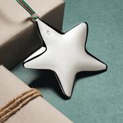 Newbridge Silverware Star with Clear Stone Hanging Decoration image
