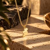 Seala Collection Ireland Map Pendant &amp; Chain Gold image