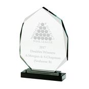 Crystal Clarity Optical Award 230mm image
