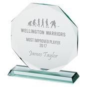 Recognition Crystal Award 215mm image