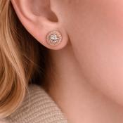 Absolute Jewellery Rose Gold Halo Stud Earrings image