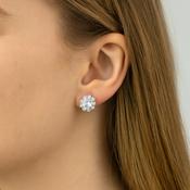 Newbridge Silver Flower Earrings Clear Stones image