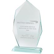 Premium Crystal Award 255mm (Colour Engraving Available) image