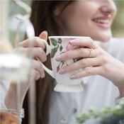 Newbridge Silverware Rose Collection Set of 6 Mugs image