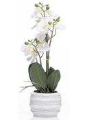 The Grange Collection Artificial Real Feel 3 Stem Orchid W/ White PotArtificial Real Feel 3 Stem Orchid W/ White Pot image
