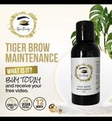 Brow Maintenance