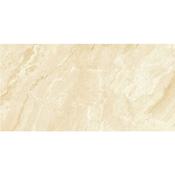 Hampton Arena 60x120