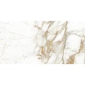 Calacatta Gold Matt 60x120
