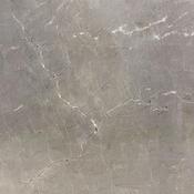 Pulpis Fossil  80x80
