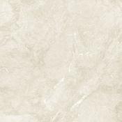 Titanium Ivory 60x60 image