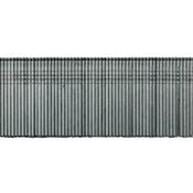 jep TF1838SS Box (5000) 38mm Stainless 18gauge Brad Pins straight for pin guns image