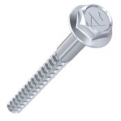Screw For Bollards &amp; Speed Bump 10x110mm image