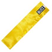 Kung Fu Sashes