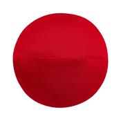 Childrens Sparring  Round Sports Weapon Shield - Red