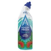 Astonish Toilet Fresh Eucalyptus Gel Cleaner 750ml image