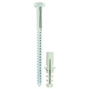 Timco Coach Screw &amp;amp; Nylon Plugs Zinc 8.0 x 100mm 2 Pack