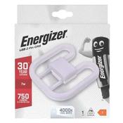 Energizer LED 2D 2 Pin Cool White 7w