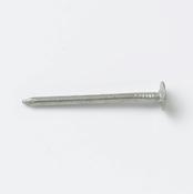 Premier Clout Nail 30mm 75g