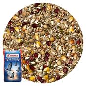 Vanrobaeys Flight Force F3 Fuel Pigeon Feed 20kg