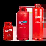 Flogas Propane Gas Red 10.9kg (24lb)