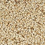 Safflower Seed image