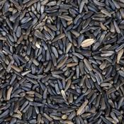 Total Nature Nyjer Seed image