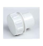 Waste Access Cap 40mm (1½") image