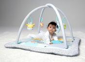 Babyzee Safari Play Gym image