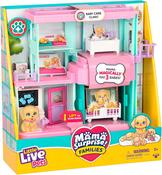 LLP Mama Surprise Families - S1 Baby Care Clinic