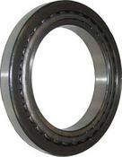 Differential Bearing