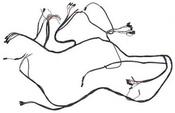 Wiring Loom for Dynamo image