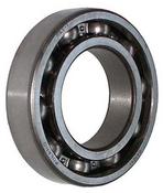 PTO Bearing