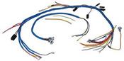 Wiring Loom image