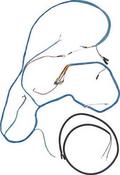 Wiring Loom