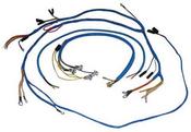 Wiring Loom image