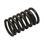 Valve Spring - Outer