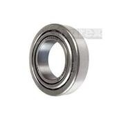 Input Shaft Bearing