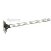Exhaust Valve