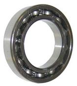 PTO Bearing