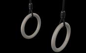 BERG Playbase Gym Rings image