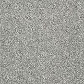 Stainfree Panache Silver Dollar