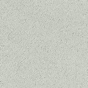 Stainfree Sophisticat Silk