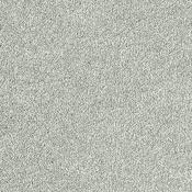 Stainfree Sophisticat Silver