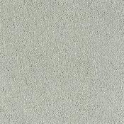 Stainfree Sophisticat Suede