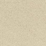 Stainfree Sophisticat Cotton